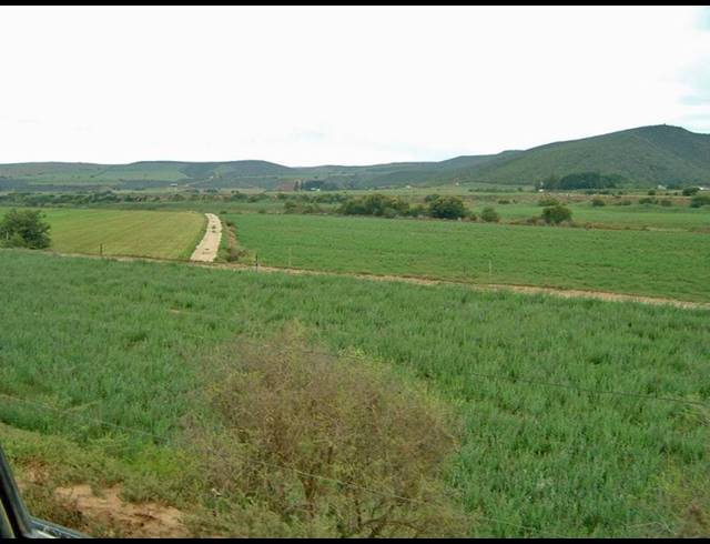 FARM FOR SALE IN MOSSEL BAY RURAL
